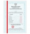 Świadectwo dla Dyrektora Przedszkola A4 - detal motywu na matowym papierze